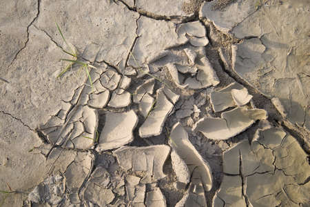 dry soil with mud cracksの写真素材