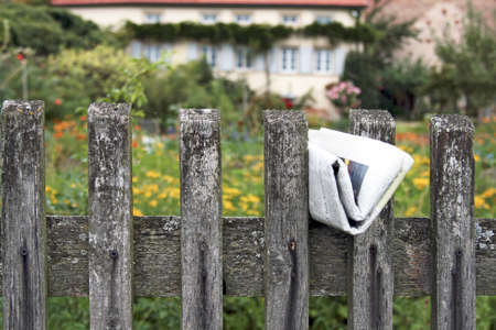 Daily at an old fenceの写真素材