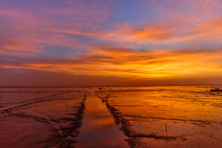 Beautiful sunset at the seaの写真素材