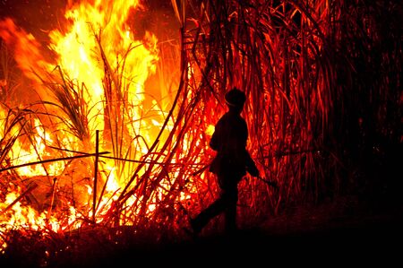 Big fire on the farmland
