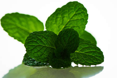 Pepper mint leaves, isolated on white background