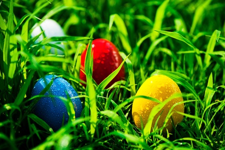 Four colored easter eggs on the meadowの写真素材