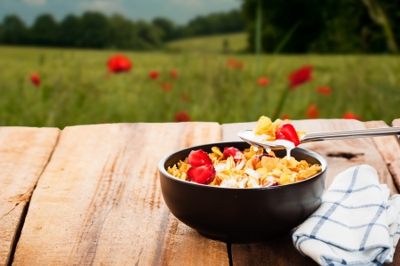 Cereal with milk and strawberries as outdoor shotの写真素材