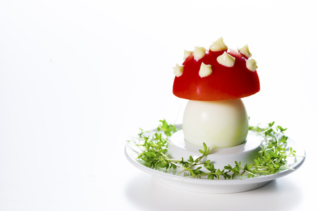 Funny food - boiled egg, cover with a tomato with mayonnaise points on leek bedの写真素材