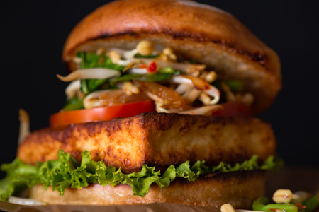 Fried spicy tofu burger Asian styleの写真素材