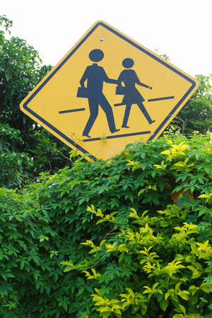 Traffic Signの写真素材