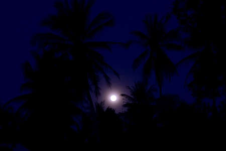 Full Moonの写真素材