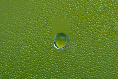 Water Dropsの写真素材