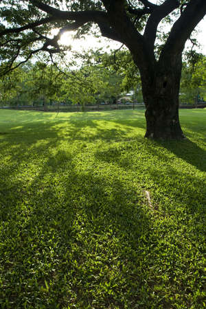 Green Park