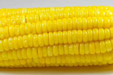 Close-up of Corn Cobの写真素材
