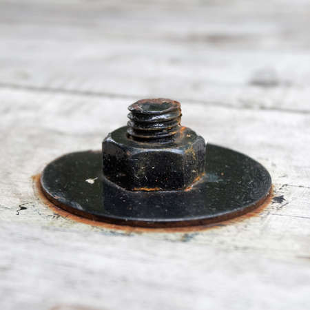 Black Nut Metalの写真素材