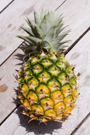 Pineapple fruitの写真素材