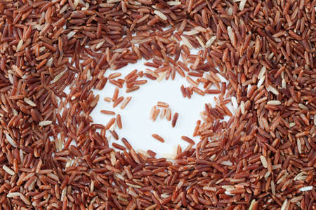 Brown riceの写真素材