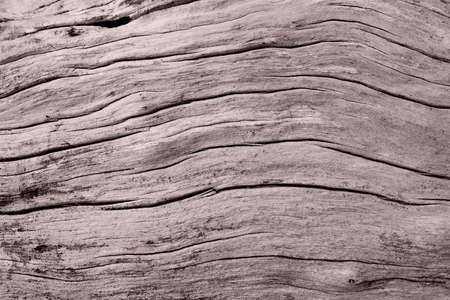 Abstract wood textureの写真素材