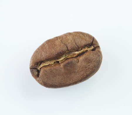 Coffee Bean
