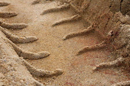 Tire Tracks in the Sandの写真素材