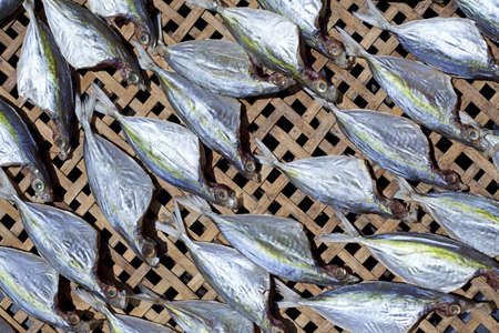 Dried Fishの写真素材