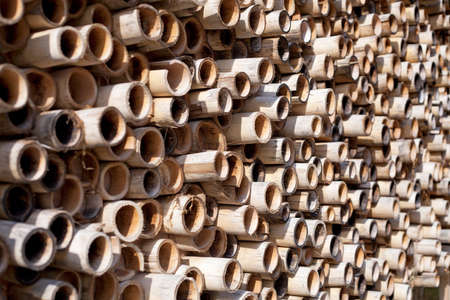 Bamboo Decorationの写真素材