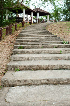 Concrete steps in the gardenの写真素材