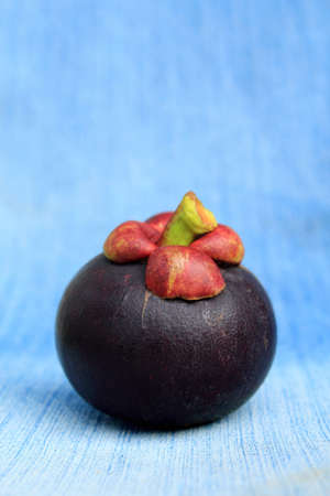 Fresh mangosteen fruitの写真素材