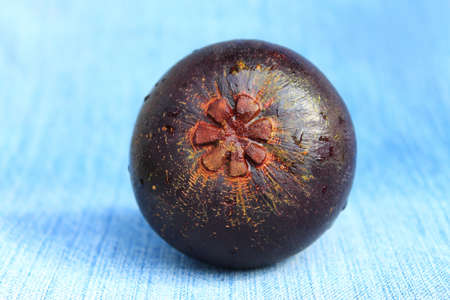 Fresh mangosteen fruitの写真素材