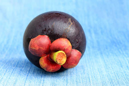 Fresh mangosteen fruitの写真素材