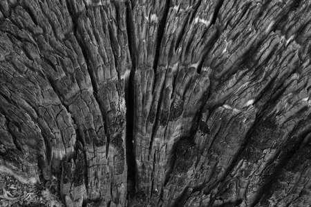 Close-up of burnt woodの写真素材