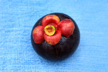 Fresh mangosteen fruitの写真素材