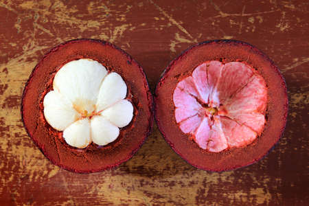 Fresh mangosteen fruitの写真素材