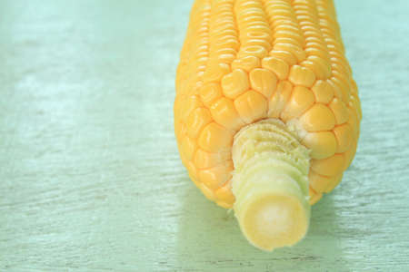 Fresh corn cobsの写真素材
