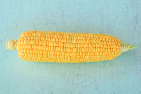Fresh corn cobsの写真素材
