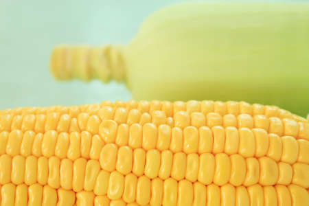 Fresh corn cobs