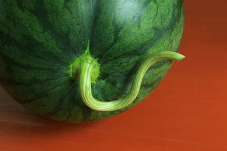 Close up of  Watermelonの写真素材