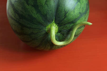 Close up of Watermelonの写真素材