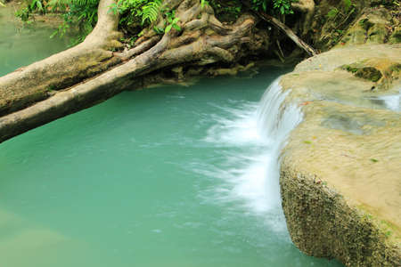 Deep forest waterfallの写真素材