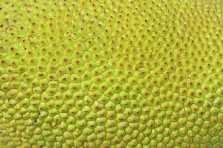 Peel the jackfruit