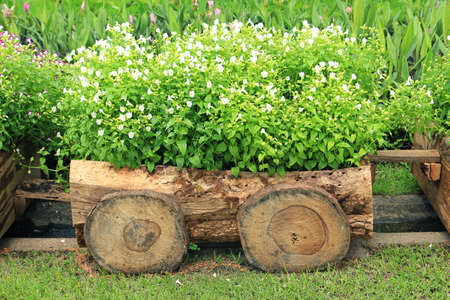 Flowers in pots in wooden boxの写真素材