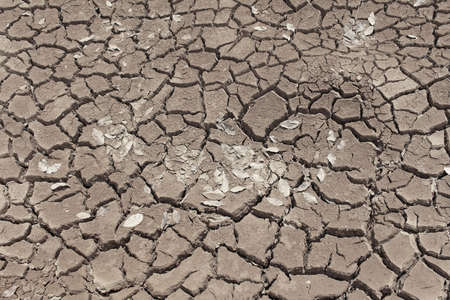 Dry cracked earth textureの写真素材