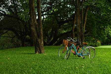 Bicycle in the garden