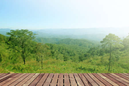 Tropical forest above a wooden floorの写真素材