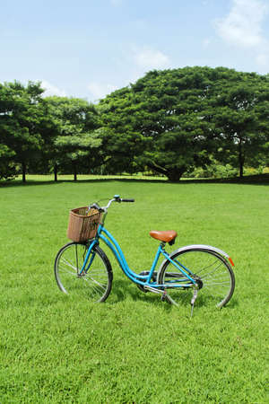 Bicycles in the parkの写真素材