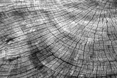 Old wood backgroundの写真素材