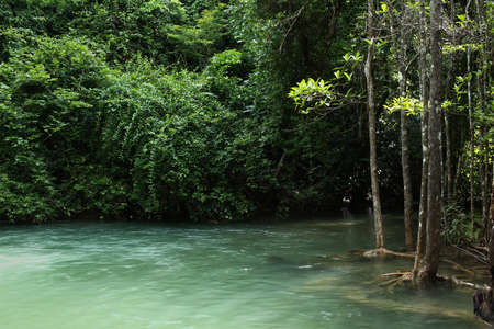 Thailand waterfall in Kanchanaburi (Huay Mae Kamin)の写真素材