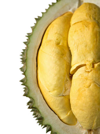 Closeup of durian fruits isolated on whiteの写真素材