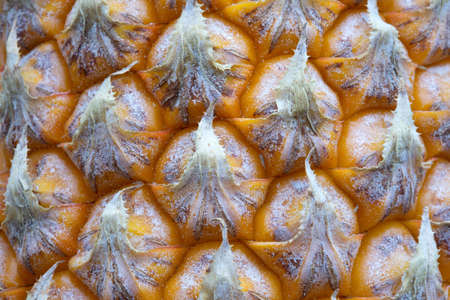 Close up of pineapple texture backgroundの写真素材
