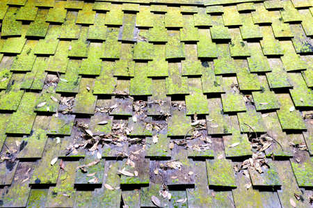 wooden roof Covered with Mossの写真素材