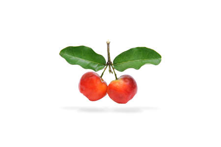 Barbados cherry fruit isolated on white background.の写真素材