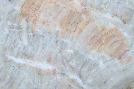 marble pattern texture backgroundの写真素材