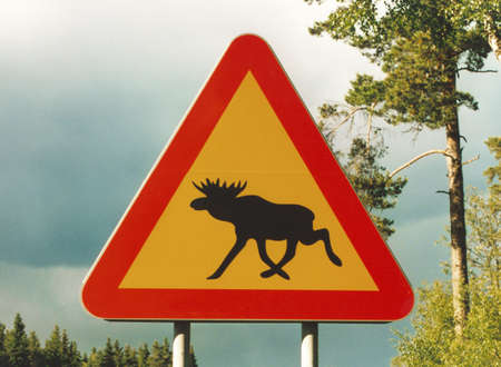 orange traffic sign attention elkの写真素材