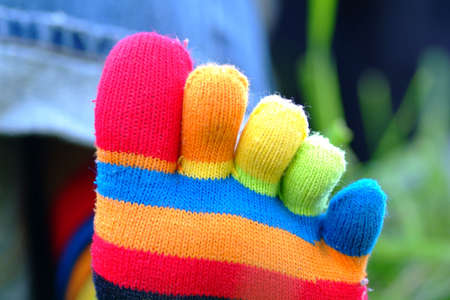 colourful toesocks in lawnの写真素材